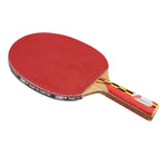 GKI Dragon Table Tennis Bat